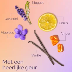 Best Andrélon Oil & Care Conditioner 200 ML