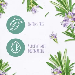 Hot Andrélon Pro Nature Rosemary Refresh Shampoo400 ML