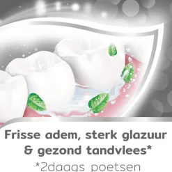 Clearance Aquafresh Tandsteen Controle Tandpasta 75 ML