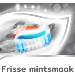 Clearance Aquafresh Tandsteen Controle Tandpasta 75 ML