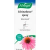 Hot A.Vogel Echinaforce Spray Weerstand 30 ML