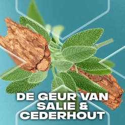 Online AXE Apollo Anti-Transpirant Deodorant Spray 150 ML