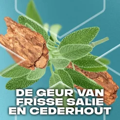 AXE Apollo Deodorant Bodyspray 150 ML