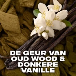 Online AXE Gold Anti-Transpirant Deodorant Spray 150 ML