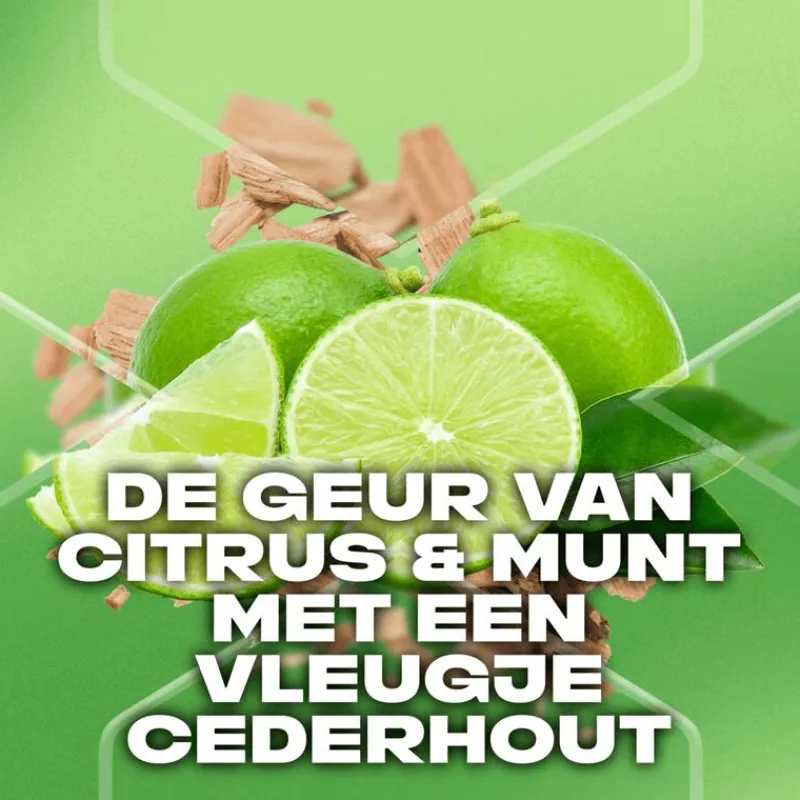 Hot AXE Green Mojito & Cedarwood 3-in-1 Douchegel 250 ML