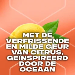 Sale AXE Sunset Fresh Deodorant Bodyspray 150 ML