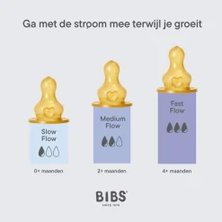 Discount Bibs Bottle Nipple Flesspeen Slow Flow 2 pack