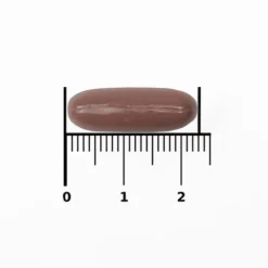 Outlet Bional Nachtrust Valeriaan Forte Capsules 60 stuks