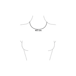 Outlet BiSjU Jewellery Ketting Munt Gold Plated