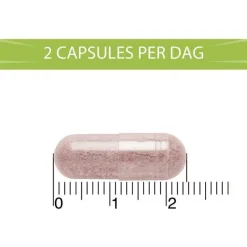 Discount BlaseBerry 50 capsules