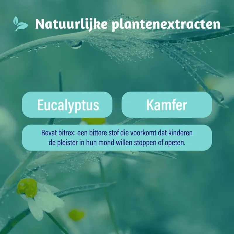 Best Dampo Inhalatiepleisters 6 pleisters