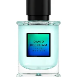 Online David Beckham True Instinct eau de parfum 50 ML