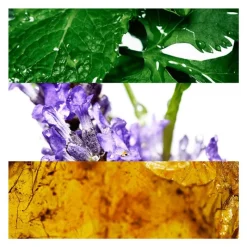 Best Davidoff Cool Water Men eau de toilette 40 ML