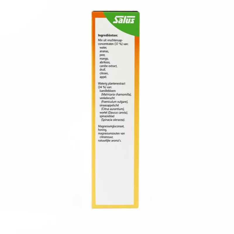 Online Salus Floradix Magnesium Mineral Drink