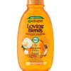 Best Garnier Loving Blends Argan & Cameliaolie Shampoo 300 ML