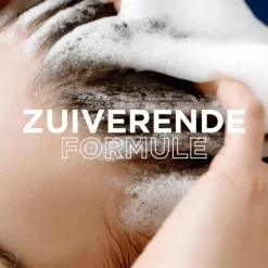 Online Garnier Loving Blends Charcoal Shampoo 300 ML