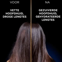 Online Garnier Loving Blends Charcoal Shampoo 300 ML