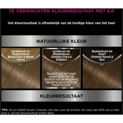 Outlet Garnier Olia Permanente Haarverf 6.0 Donkerblond