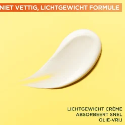 New Garnier SkinActive Serum Cream Vitamine C SPF 25 50 ML