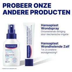 Online Hansaplast Classic Hechtpleister 5 M x 1,25 CM