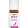 New Jacob Hooy Essentiële Olie Lavendel 10 ML
