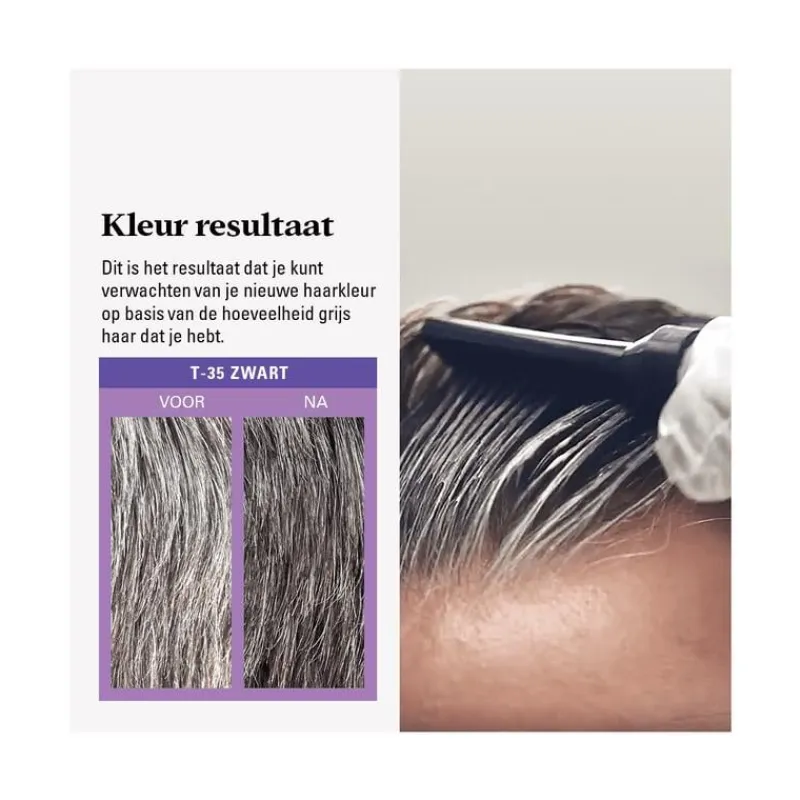 Hot Just For Men Touch of Grey T35