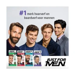 Discount Just For Men Touch of Grey T55