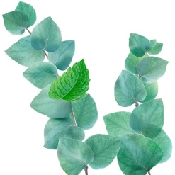 Discount Kneipp Refreshing Badschuim 400 ML