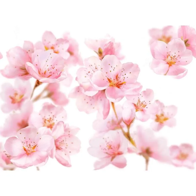 Clearance Kneipp Soft Skin Sugar & Oil Bodyscrub 220 GR