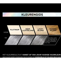 Online L'Oréal Paris Preference Vivids Permanente Haarverf 10.112 Silver Grey Soho