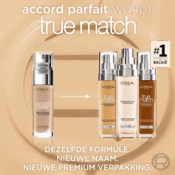 Best L'Oréal Paris True Match Foundation 10.R SPF 16 10R/C