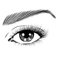 New L'Oréal Paris Volume Million Lashes Mascara Classic Zwart Waterproof Black Waterproof