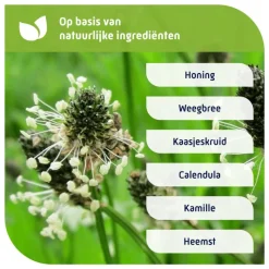 Sale Natterman Nacht Voor Alle Hoest 150 ML