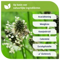 Outlet Natterman Voor Alle Hoest 180 ML