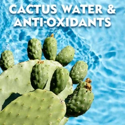 Outlet NIVEA MEN Fresh Kick Deodorant Rolller 50 ML