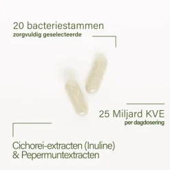 Hot Nupure probaflor plus - Probiotica complex met pepermunt en chicorei, 60 capsules