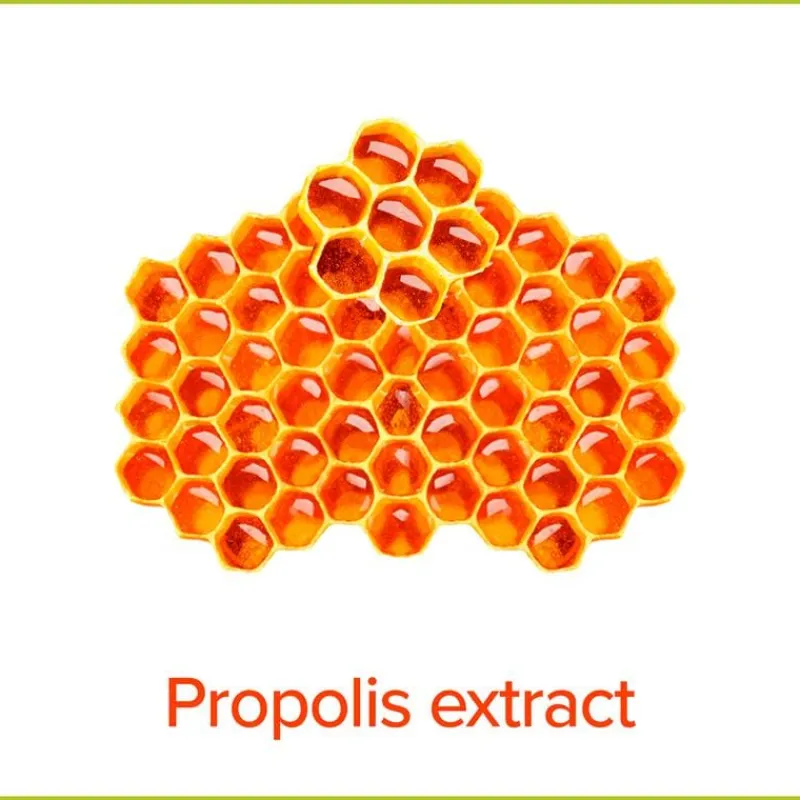 Palmolive Hygiëne Plus Family Antibacteriële Vloeibare Handzeep 300 ML