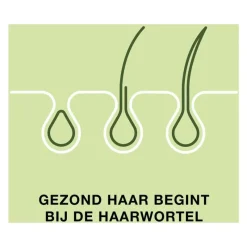 Priorin 120 Capsules Met Biotine Voor Sterk En Vol Haar Van Binnenuit