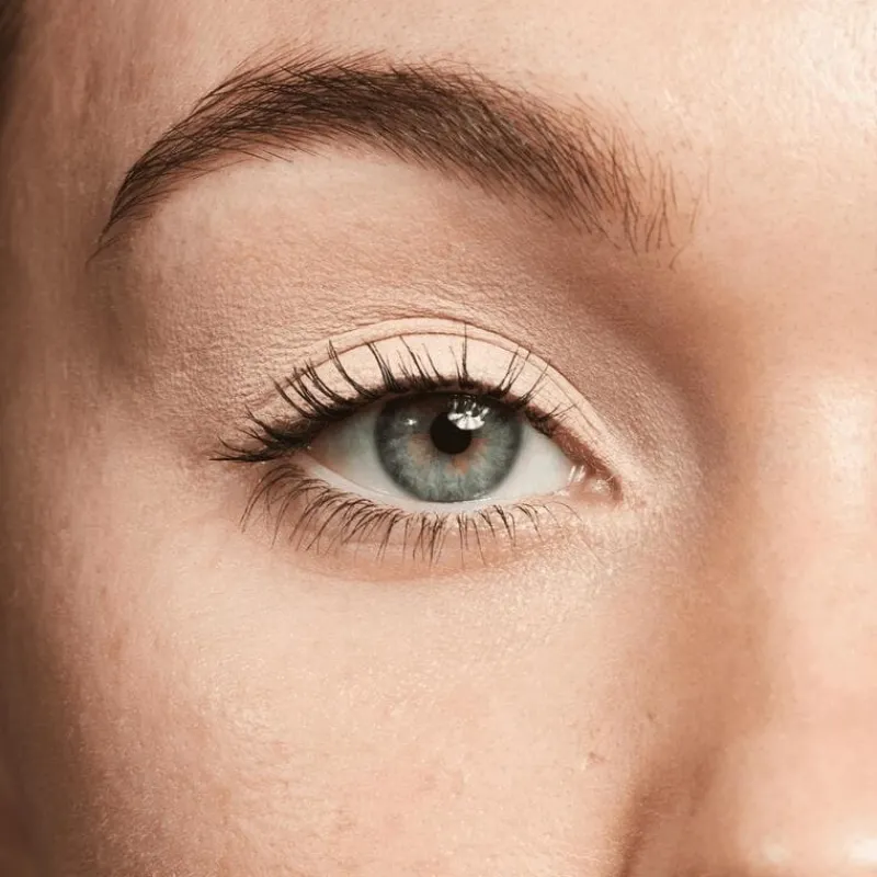 Online Rimmel London Rimmel Wonder'Last Oogschaduw Stick 009 Velvet Vanilla