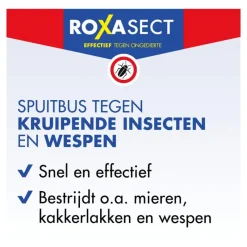 Best Roxasect Spuitbus Kruipende Insecten en Wespen 400 ML
