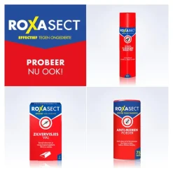 Best Roxasect Spuitbus Kruipende Insecten en Wespen 400 ML