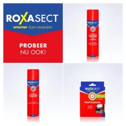 Discount Roxasect Vliegenvanger 4 stuks