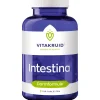 Vitakruid , Intestina