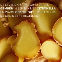 Hot Weleda Aroma Energy Shower 200 ML