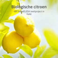 Weleda Citrus 24H Deodorant Roller 50 ML