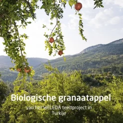 Sale Weleda Granaatappel 24H Deodorant Roller 50 ML