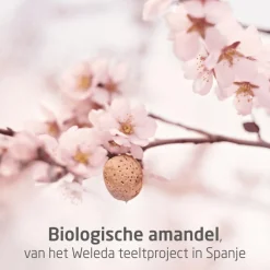 New Weleda Mama Perineum Massage Olie