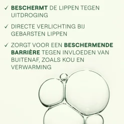 Clearance Weleda Skin Food Lip Balm