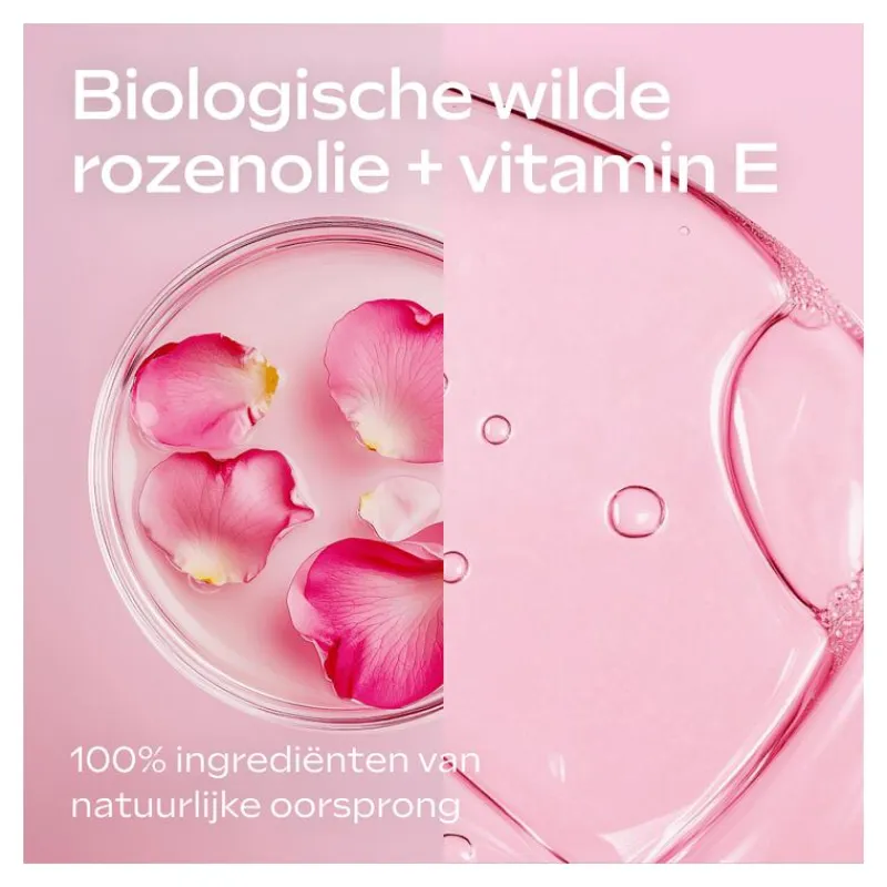 Clearance Weleda Verwennende Body Lotion Wilde Rozen 250 ML