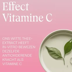 Clearance Weleda Wilde Rozen & Witte Thee Vitaliserende Dagcrème 40 ML